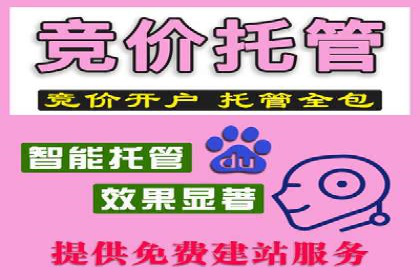 竞价广告的投放技巧及网络推广效果评估
